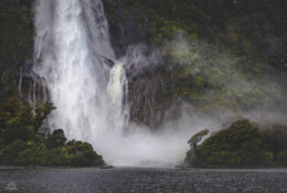 New Zealand 2025 (2 group) (19/84)